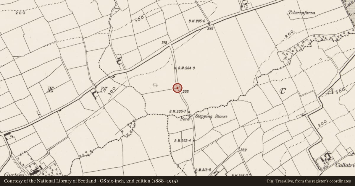 Ordnance Survey six-inch map, 2nd edition (1888–1915) covering the location of Mass-rock, Mishells, County Cork, with a pin at the register's coordinates