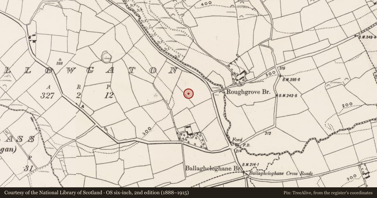 Ordnance Survey six-inch map, 2nd edition (1888–1915) covering the location of Burnt mound, Mallowgaton, County Cork, with a pin at the register's coordinates
