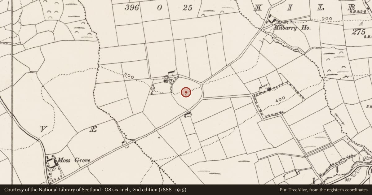 Ordnance Survey six-inch map, 2nd edition (1888–1915) covering the location of Souterrain, Lisnagat, County Cork, with a pin at the register's coordinates