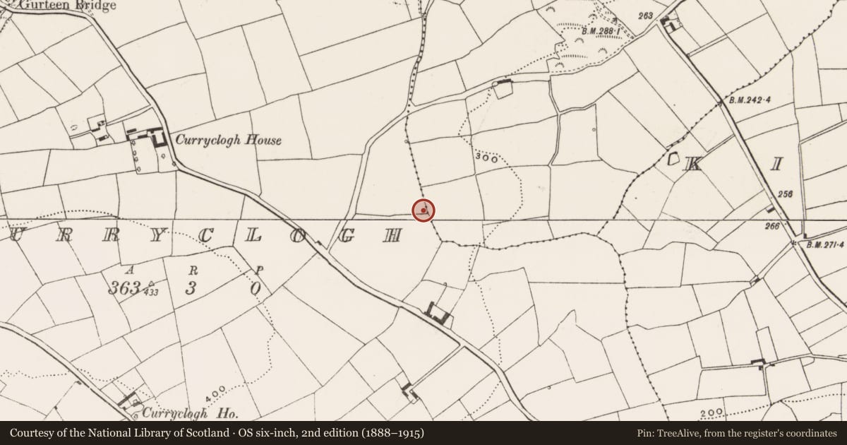 Ordnance Survey six-inch map, 2nd edition (1888–1915) covering the location of Souterrain, Curryclogh, County Cork, with a pin at the register's coordinates