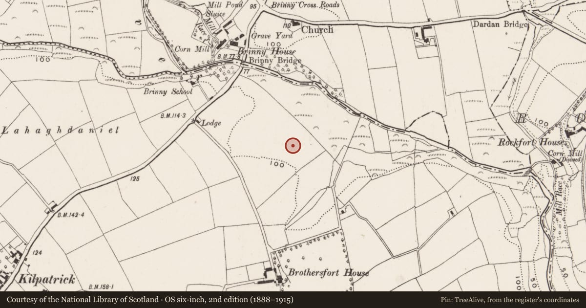 Ordnance Survey six-inch map, 2nd edition (1888–1915) covering the location of Souterrain, Kilpatrick, County Cork, with a pin at the register's coordinates