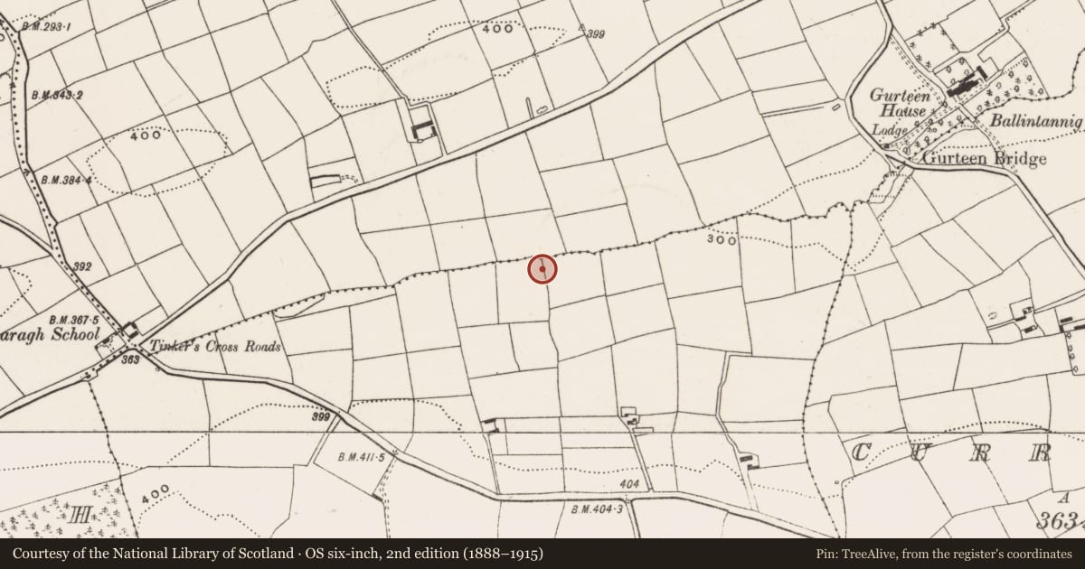 Ordnance Survey six-inch map, 2nd edition (1888–1915) covering the location of Fulacht fia, Shinagh, County Cork, with a pin at the register's coordinates