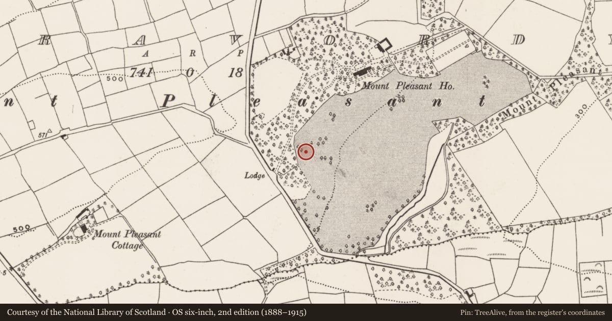 Ordnance Survey six-inch map, 2nd edition (1888–1915) covering the location of Souterrain, Curravordy, County Cork, with a pin at the register's coordinates