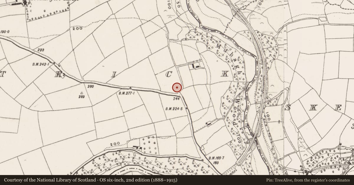 Ordnance Survey six-inch map, 2nd edition (1888–1915) covering the location of Ringfort - rath, Kilpatrick, County Cork, with a pin at the register's coordinates