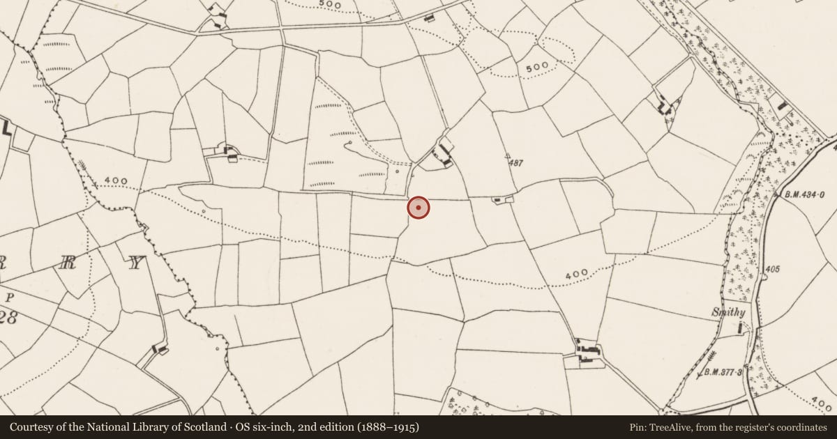 Ordnance Survey six-inch map, 2nd edition (1888–1915) covering the location of Ringfort - rath, Moskeagh, County Cork, with a pin at the register's coordinates