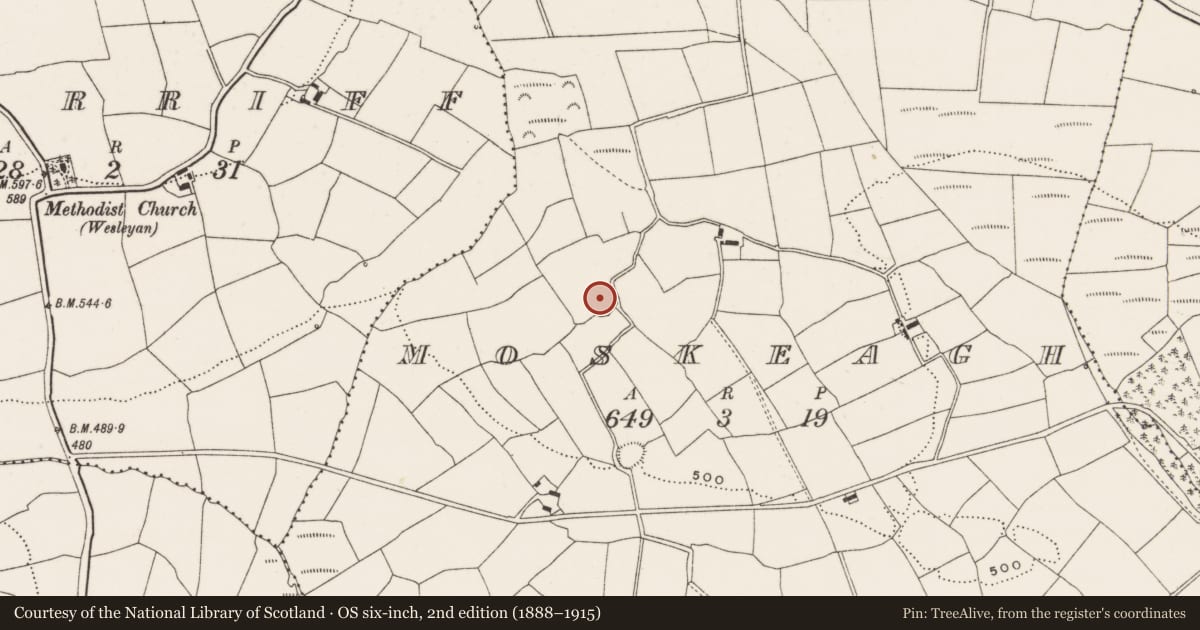 Ordnance Survey six-inch map, 2nd edition (1888–1915) covering the location of Ringfort - rath, Moskeagh, County Cork, with a pin at the register's coordinates