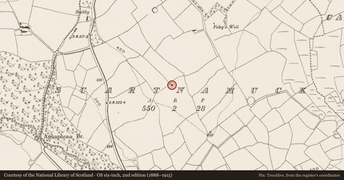 Ordnance Survey six-inch map, 2nd edition (1888–1915) covering the location of Ringfort - rath, Scartnamuck, County Cork, with a pin at the register's coordinates