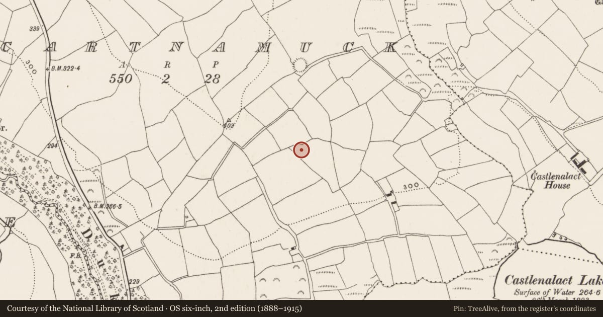 Ordnance Survey six-inch map, 2nd edition (1888–1915) covering the location of Ringfort - rath, Scartnamuck, County Cork, with a pin at the register's coordinates