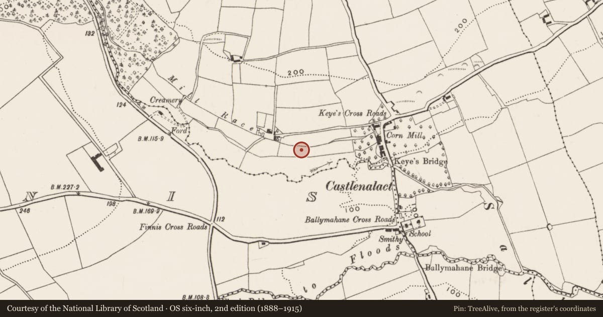 Ordnance Survey six-inch map, 2nd edition (1888–1915) covering the location of Ringfort - rath, Castlenalact (Kinalmeaky By., Brinny Par.), County Cork, with a pin at the register's coordinates