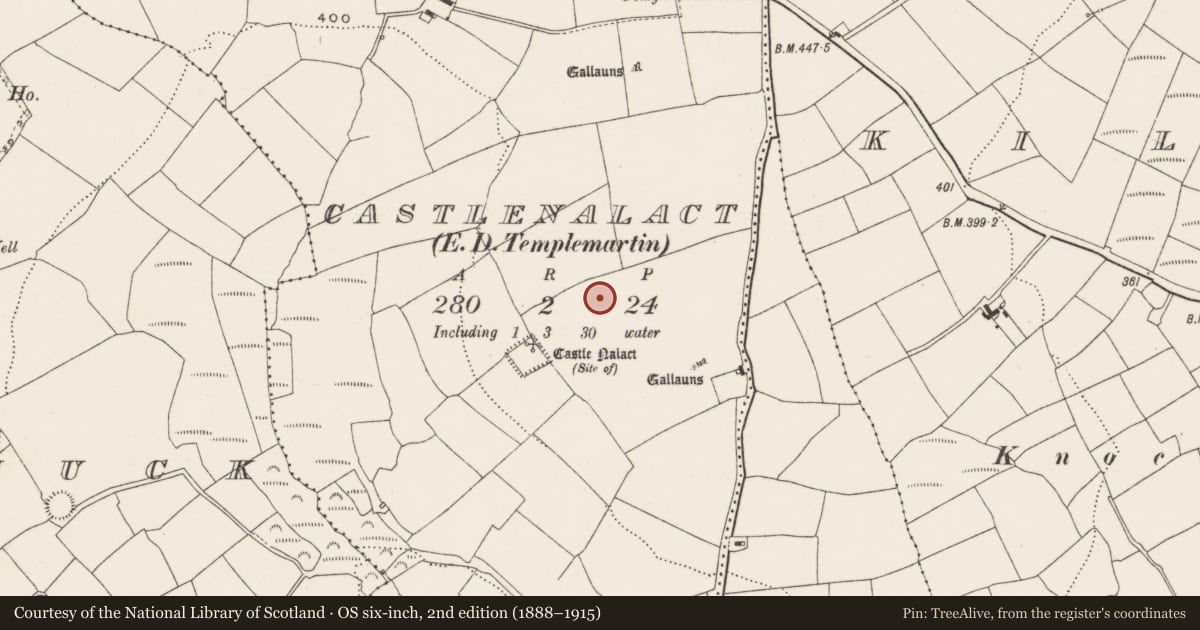 Ordnance Survey six-inch map, 2nd edition (1888–1915) covering the location of Moated site, Castlenalact (Kinalmeaky By., Templemartin Par.), County Cork, with a pin at the register's coordinates