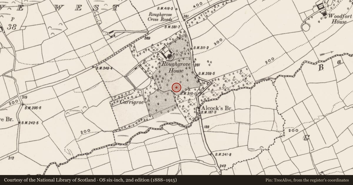Ordnance Survey six-inch map, 2nd edition (1888–1915) covering the location of Souterrain, Roughgrove East, County Cork, with a pin at the register's coordinates