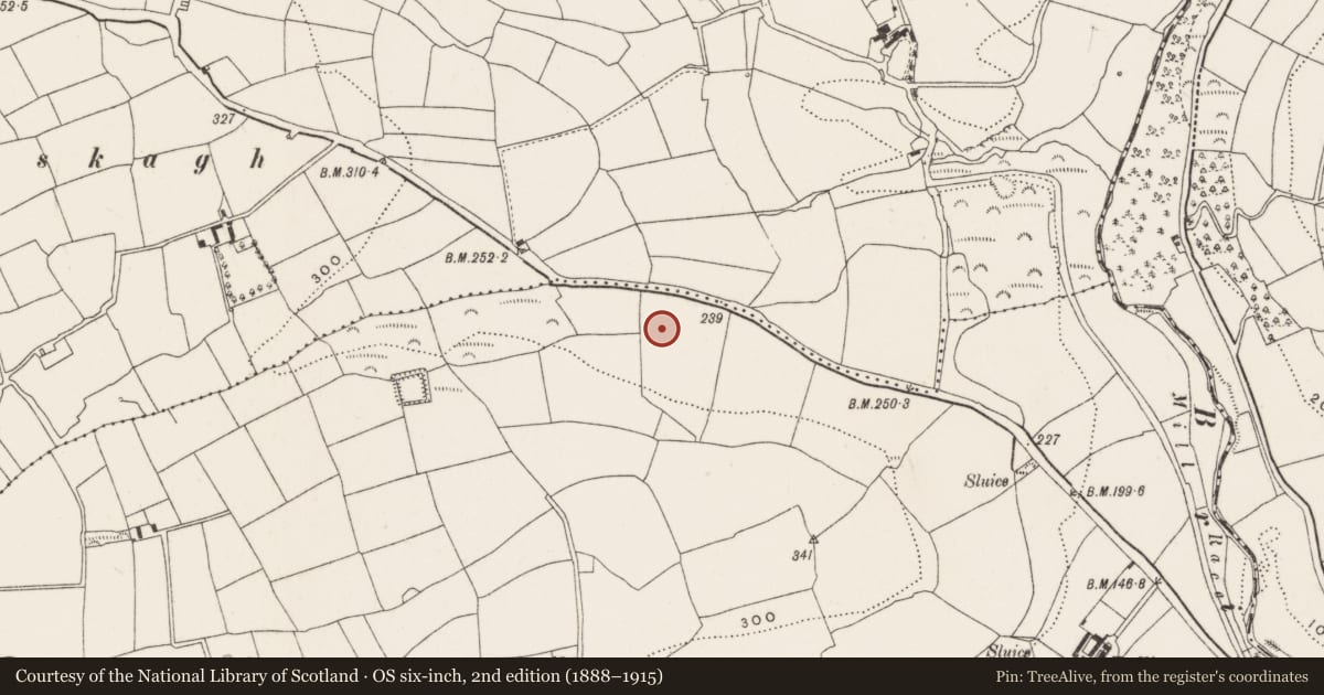 Ordnance Survey six-inch map, 2nd edition (1888–1915) covering the location of Fulacht fia, Kilmore, County Cork, with a pin at the register's coordinates