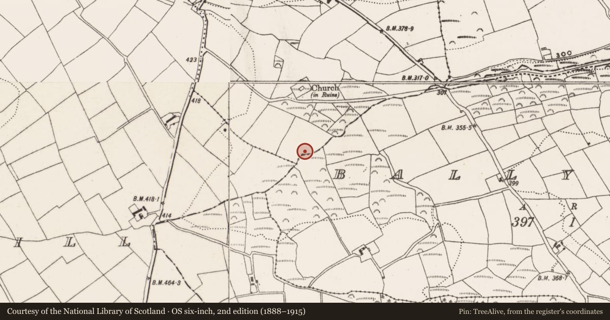Ordnance Survey six-inch map, 2nd edition (1888–1915) covering the location of Fulacht fia, Kill, County Cork, with a pin at the register's coordinates