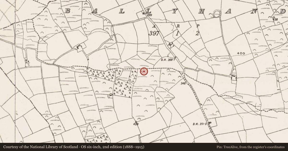 Ordnance Survey six-inch map, 2nd edition (1888–1915) covering the location of Fulacht fia, Lissanisky, County Cork, with a pin at the register's coordinates