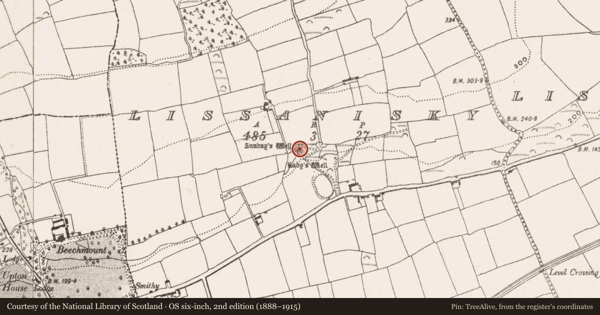 Ordnance Survey six-inch map, 2nd edition (1888–1915) covering the location of Ritual site - holy well, Lissanisky, County Cork, with a pin at the register's coordinates