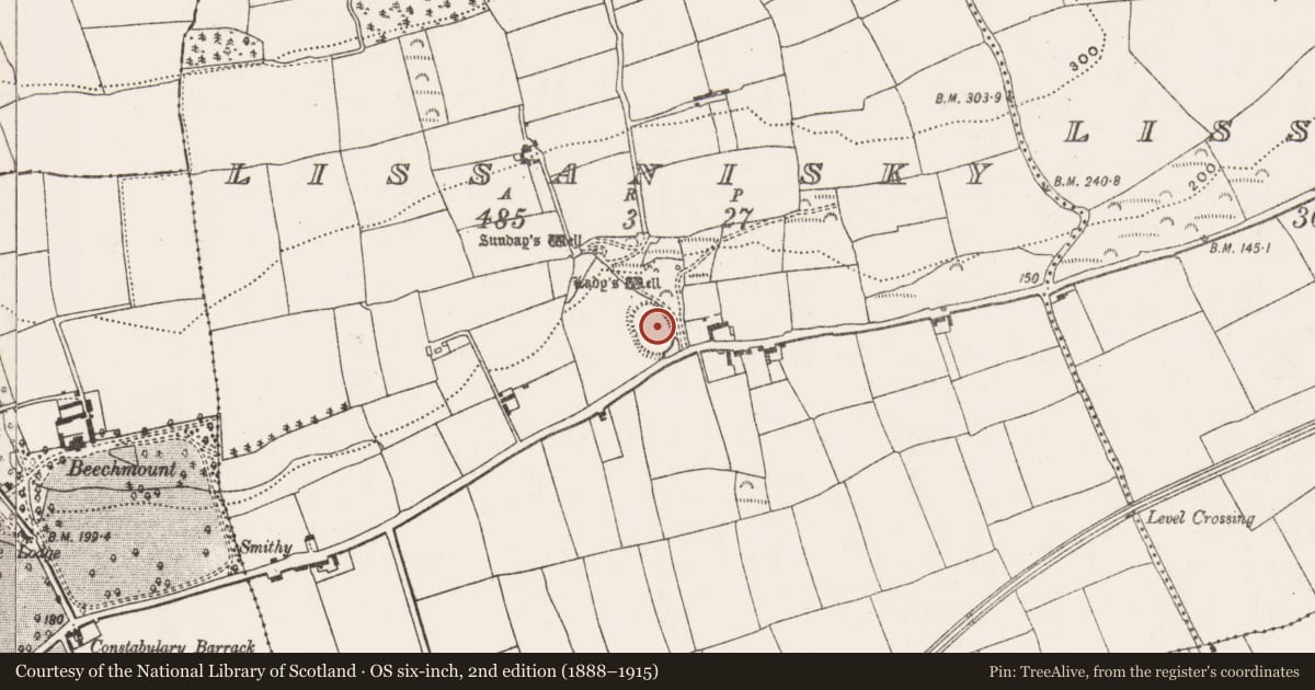 Ordnance Survey six-inch map, 2nd edition (1888–1915) covering the location of Enclosure, Lissanisky, County Cork, with a pin at the register's coordinates