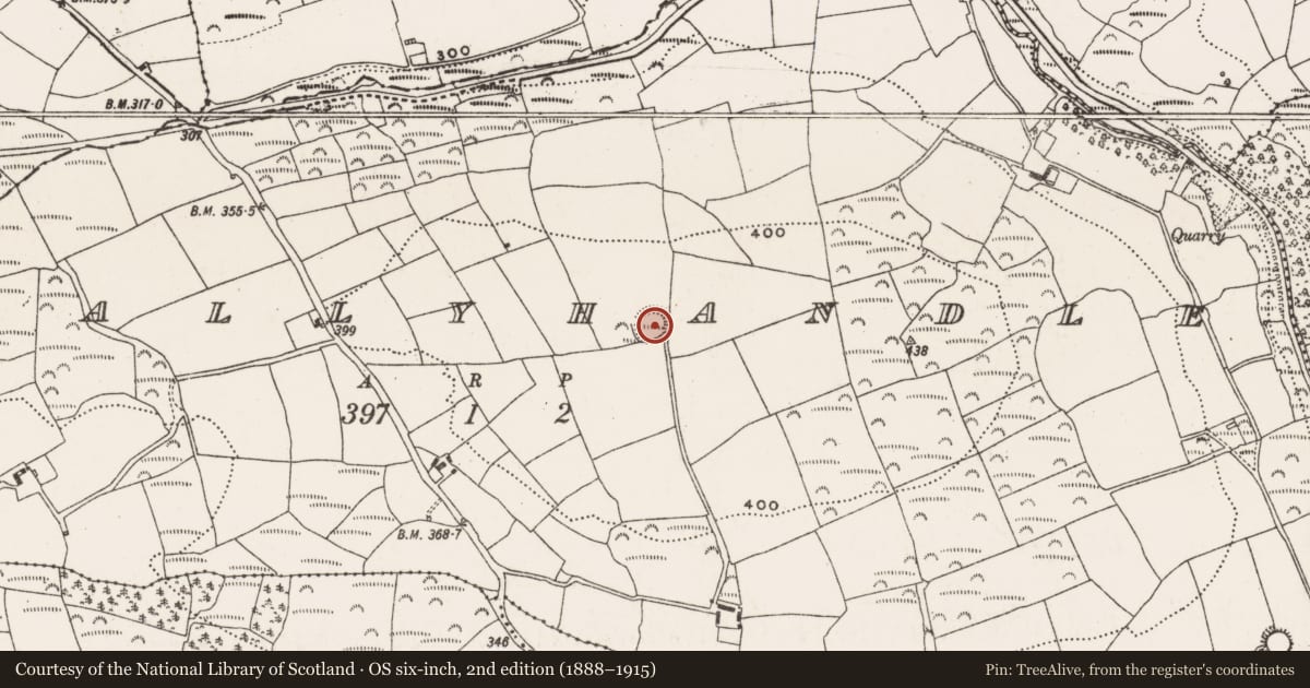 Ordnance Survey six-inch map, 2nd edition (1888–1915) covering the location of Ringfort - rath, Ballyhandle, County Cork, with a pin at the register's coordinates