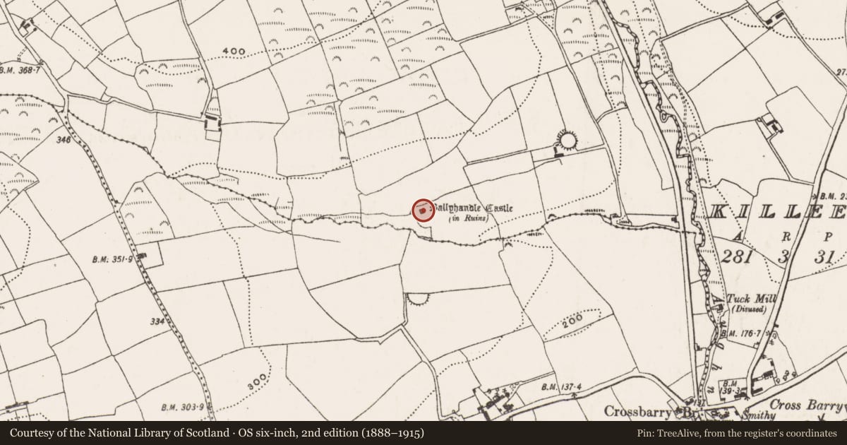 Ordnance Survey six-inch map, 2nd edition (1888–1915) covering the location of Castle - Anglo-Norman masonry castle, Ballyhandle, County Cork, with a pin at the register's coordinates