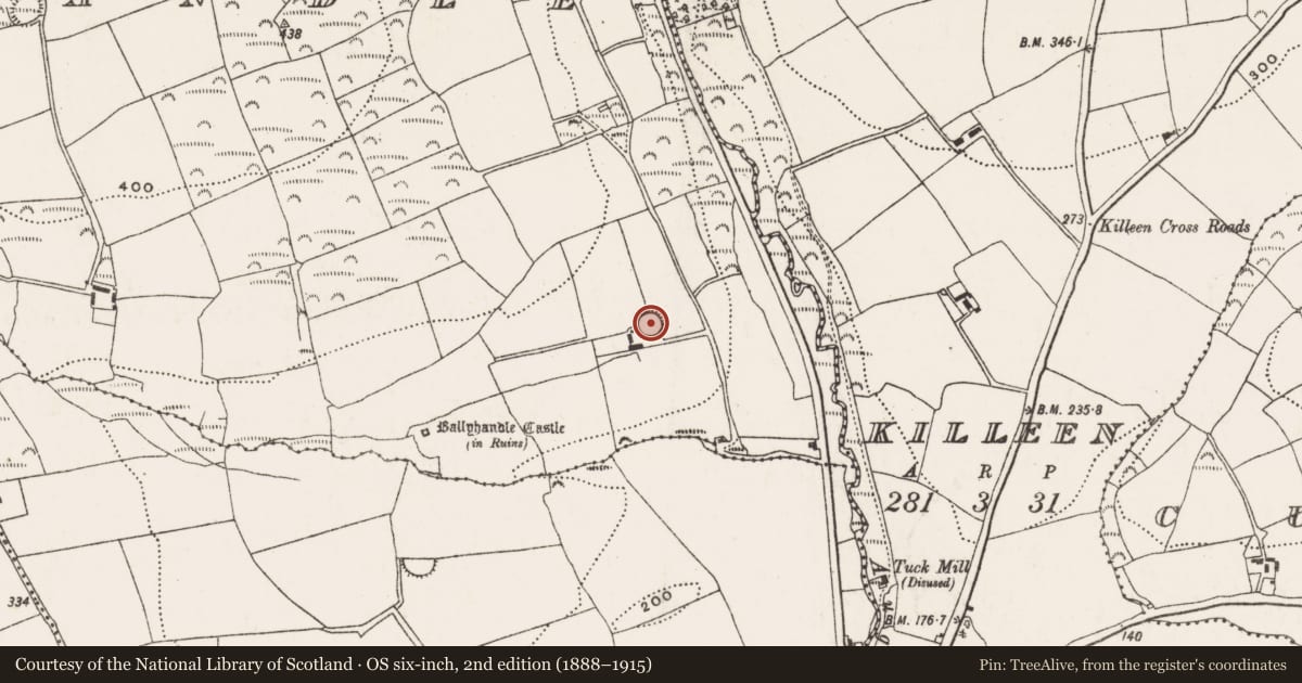 Ordnance Survey six-inch map, 2nd edition (1888–1915) covering the location of Ringfort - rath, Ballyhandle, County Cork, with a pin at the register's coordinates