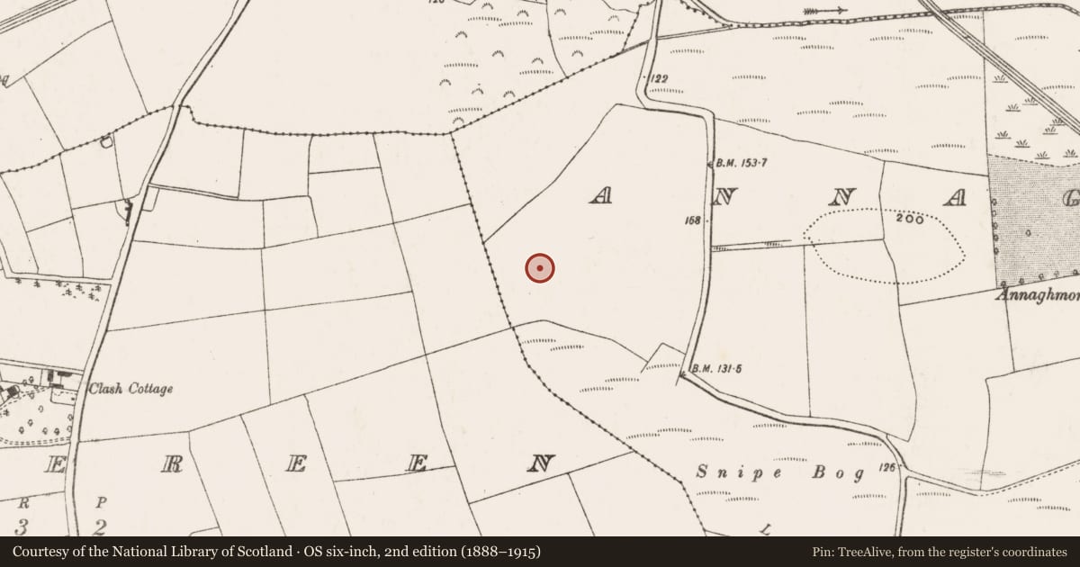 Ordnance Survey six-inch map, 2nd edition (1888–1915) covering the location of Moated site, Annagh More, County Cork, with a pin at the register's coordinates