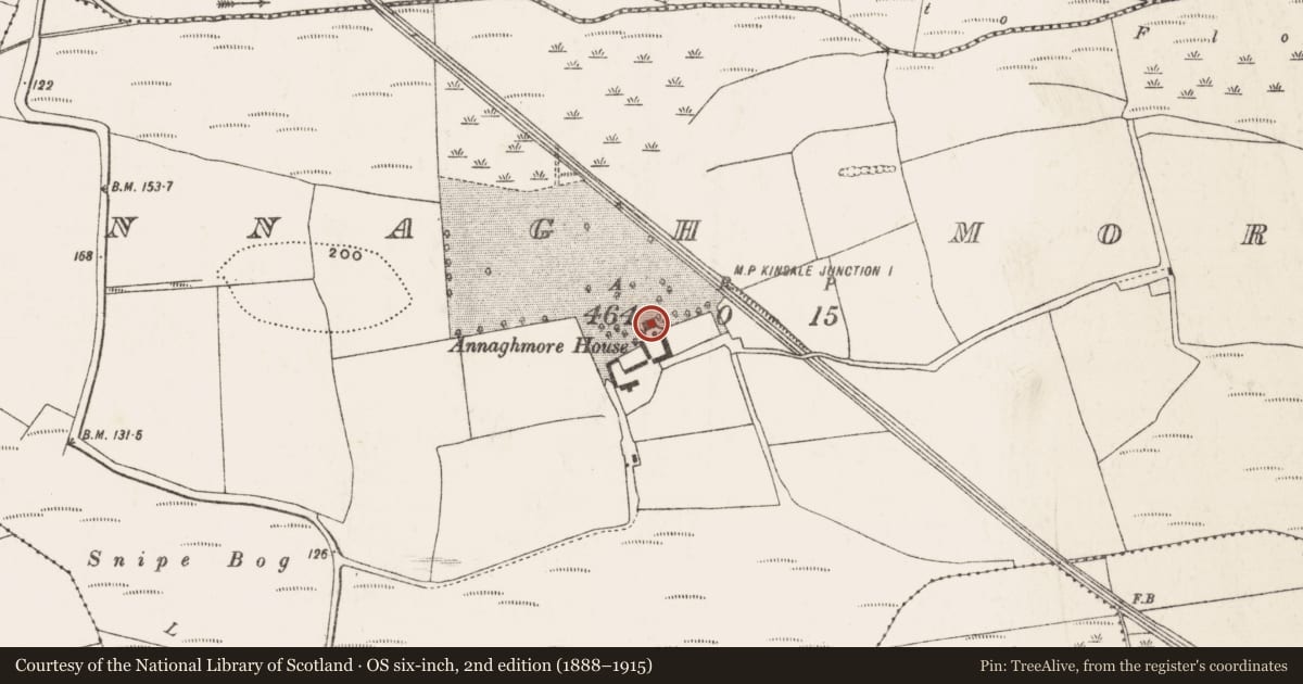 Ordnance Survey six-inch map, 2nd edition (1888–1915) covering the location of Country house, Annagh More, County Cork, with a pin at the register's coordinates