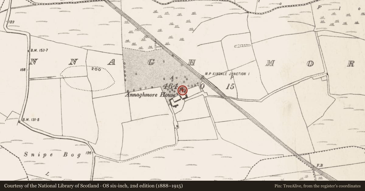 Ordnance Survey six-inch map, 2nd edition (1888–1915) covering the location of Industrial chimney, Annagh More, County Cork, with a pin at the register's coordinates