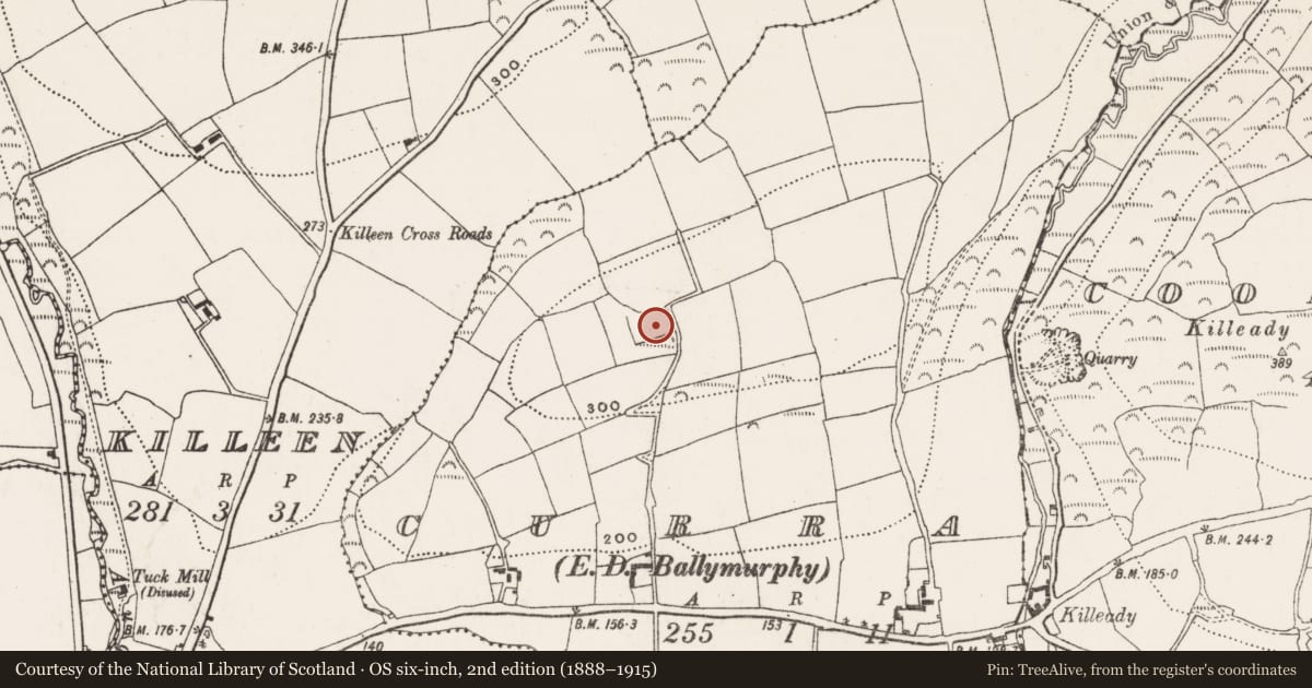 Ordnance Survey six-inch map, 2nd edition (1888–1915) covering the location of Moated site, Curra (Kinalea By., Inishannon Par.), County Cork, with a pin at the register's coordinates
