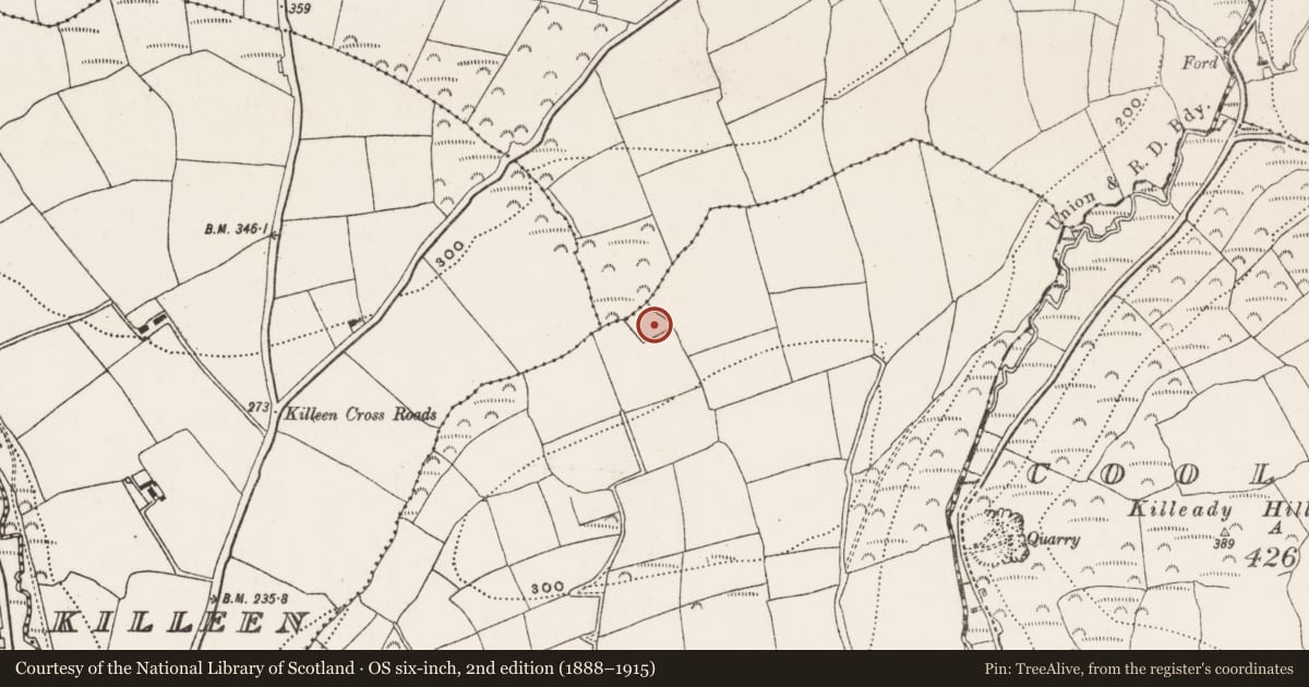Ordnance Survey six-inch map, 2nd edition (1888–1915) covering the location of Moated site, Curra (Kinalea By., Inishannon Par.), County Cork, with a pin at the register's coordinates
