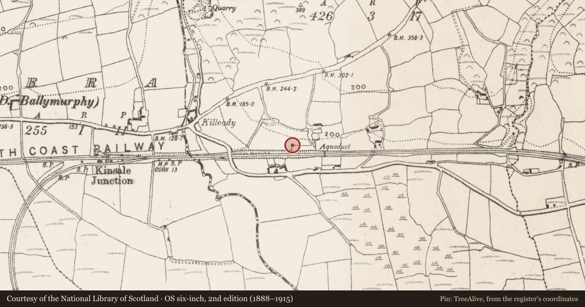 Ordnance Survey six-inch map, 2nd edition (1888–1915) covering the location of Earthwork, Coolatooder, County Cork, with a pin at the register's coordinates