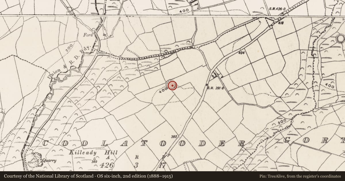Ordnance Survey six-inch map, 2nd edition (1888–1915) covering the location of Ringfort - rath, Coolatooder, County Cork, with a pin at the register's coordinates