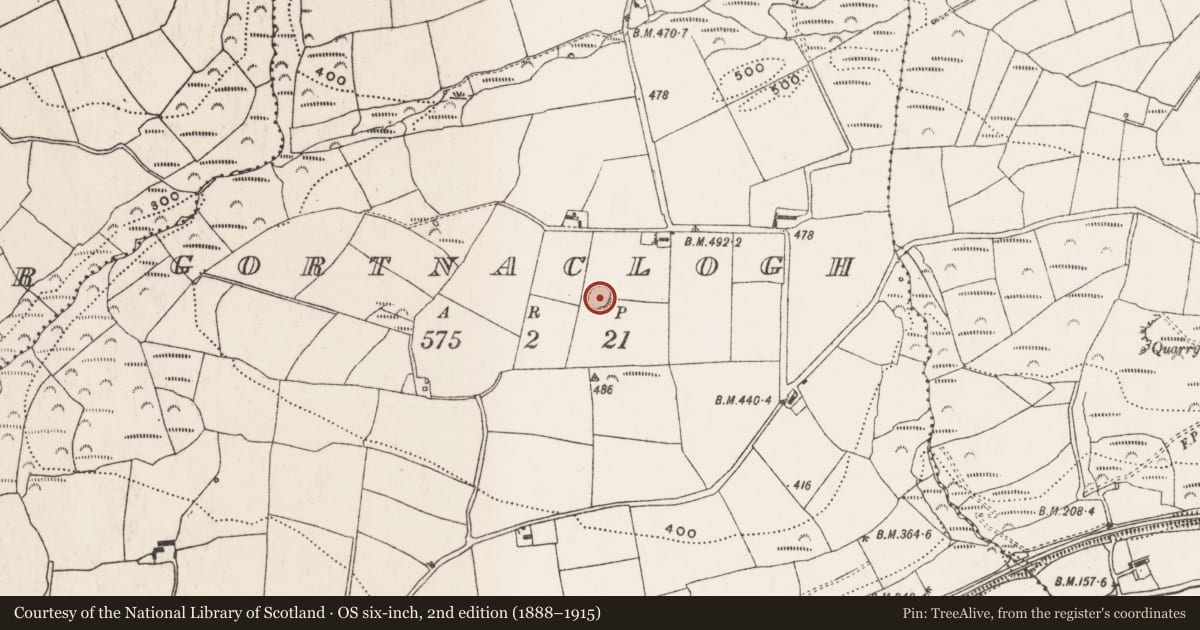 Ordnance Survey six-inch map, 2nd edition (1888–1915) covering the location of Ringfort - rath, Gortnaclogh, County Cork, with a pin at the register's coordinates