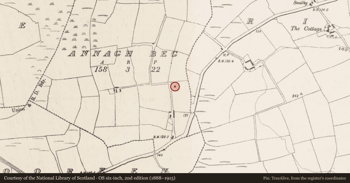 Ordnance Survey six-inch map, 2nd edition (1888–1915) covering the location of Ringfort - rath, Annagh Beg, County Cork, with a pin at the register's coordinates