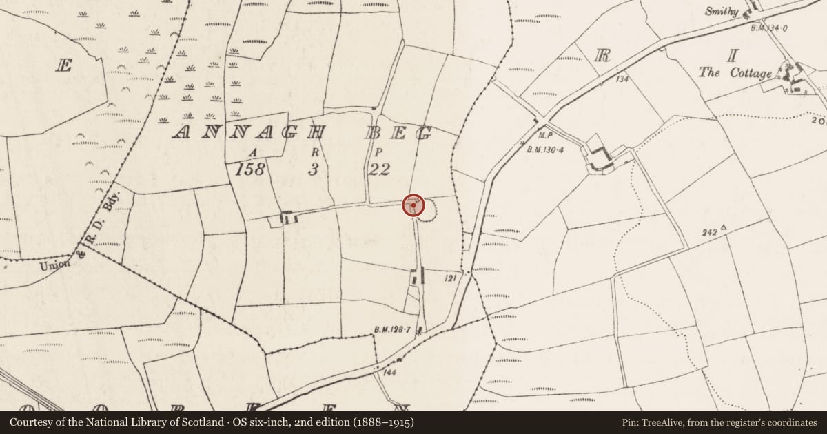 Ordnance Survey six-inch map, 2nd edition (1888–1915) covering the location of Souterrain, Annagh Beg, County Cork, with a pin at the register's coordinates
