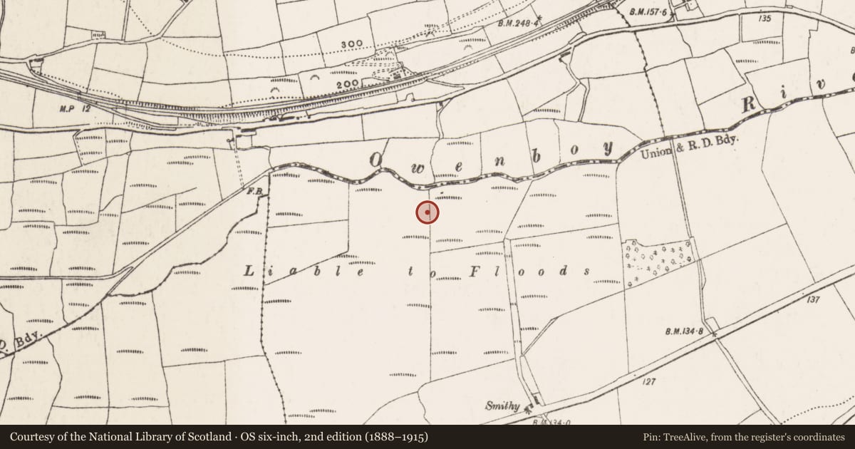 Ordnance Survey six-inch map, 2nd edition (1888–1915) covering the location of Earthwork, Rigsdale, County Cork, with a pin at the register's coordinates