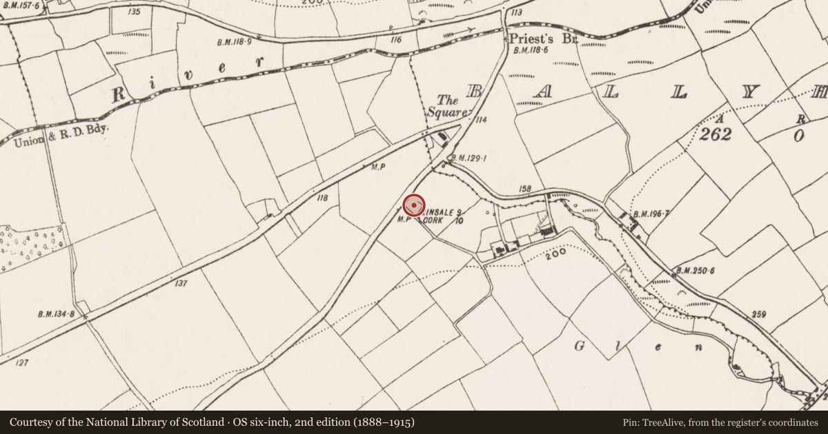 Ordnance Survey six-inch map, 2nd edition (1888–1915) covering the location of Moated site, Rigsdale, County Cork, with a pin at the register's coordinates
