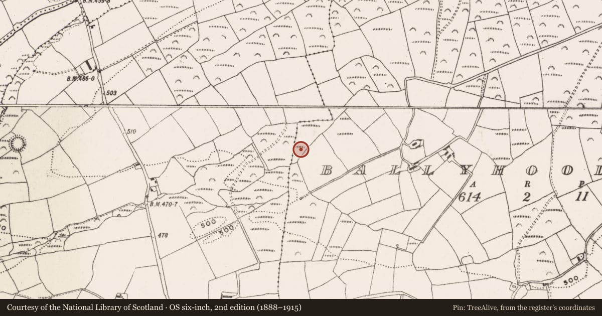 Ordnance Survey six-inch map, 2nd edition (1888–1915) covering the location of Fulacht fia, Ballyhooleen, County Cork, with a pin at the register's coordinates