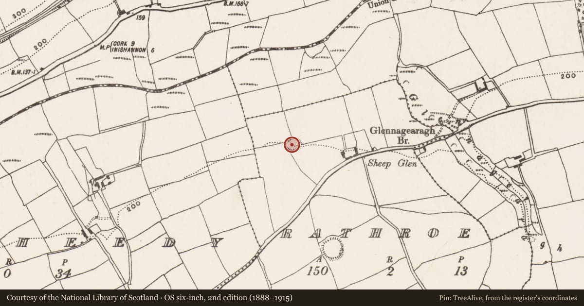 Ordnance Survey six-inch map, 2nd edition (1888–1915) covering the location of Ringfort - rath, Rathroe, County Cork, with a pin at the register's coordinates