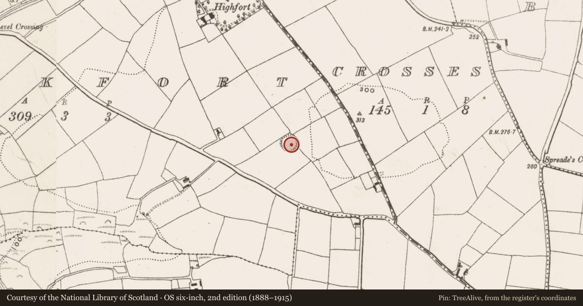 Ordnance Survey six-inch map, 2nd edition (1888–1915) covering the location of Ringfort - rath, Rockfort, County Cork, with a pin at the register's coordinates