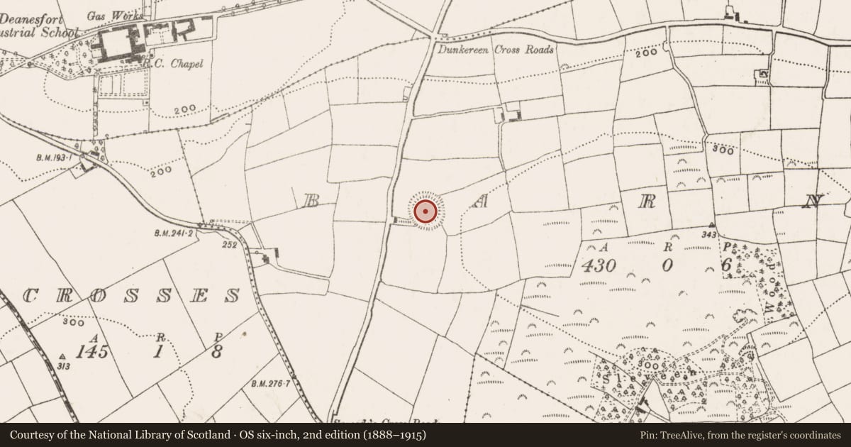 Ordnance Survey six-inch map, 2nd edition (1888–1915) covering the location of Ringfort - rath, Barna, County Cork, with a pin at the register's coordinates