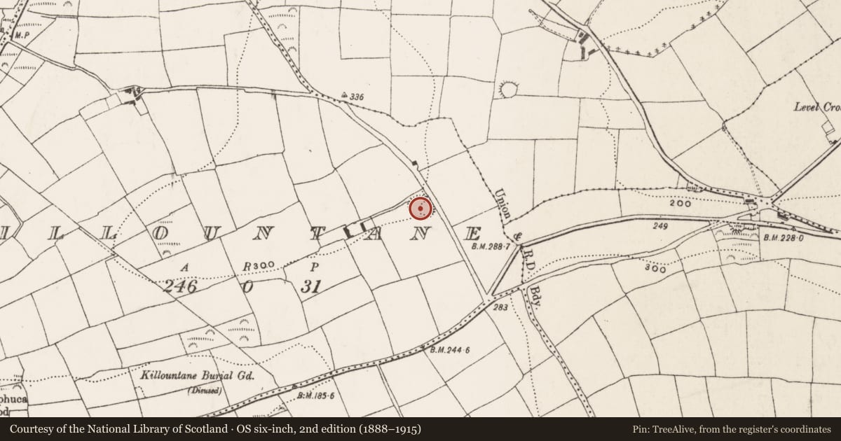 Ordnance Survey six-inch map, 2nd edition (1888–1915) covering the location of Ringfort - rath, Killountane, County Cork, with a pin at the register's coordinates