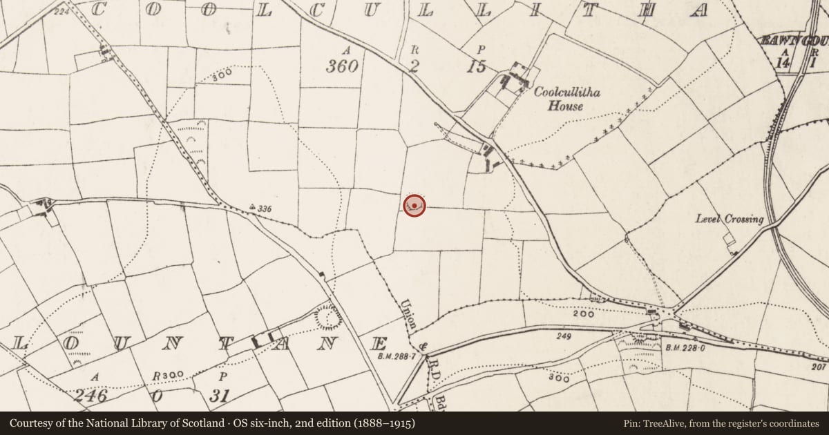 Ordnance Survey six-inch map, 2nd edition (1888–1915) covering the location of Ringfort - rath, Coolcullitha, County Cork, with a pin at the register's coordinates