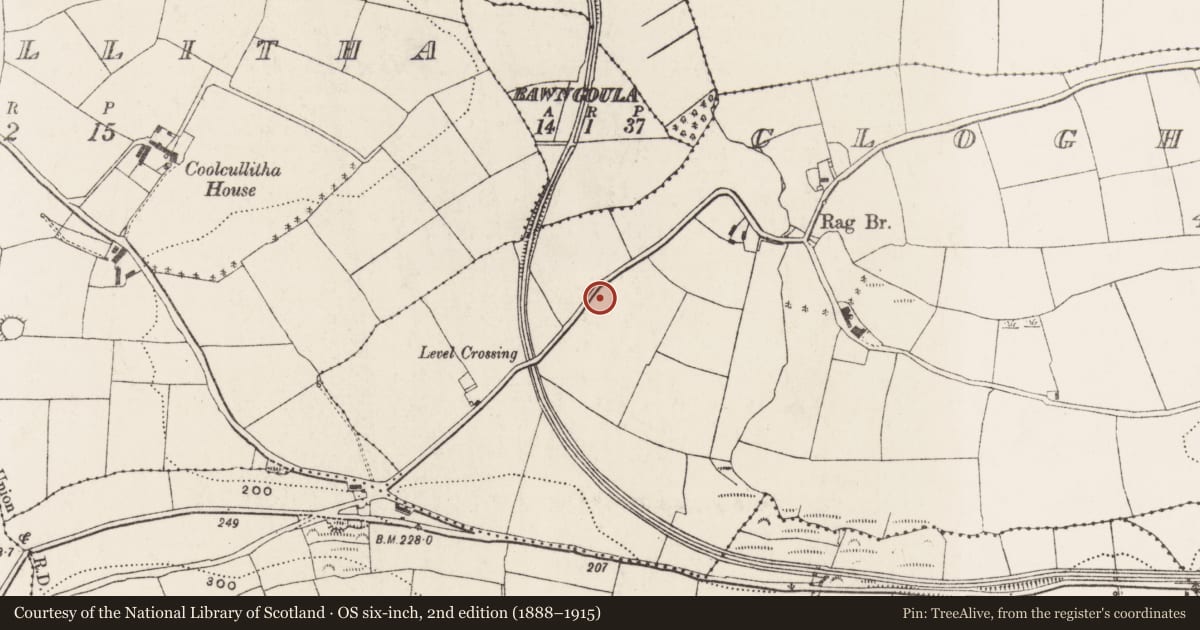 Ordnance Survey six-inch map, 2nd edition (1888–1915) covering the location of Ringfort - rath, Clogheenduane, County Cork, with a pin at the register's coordinates