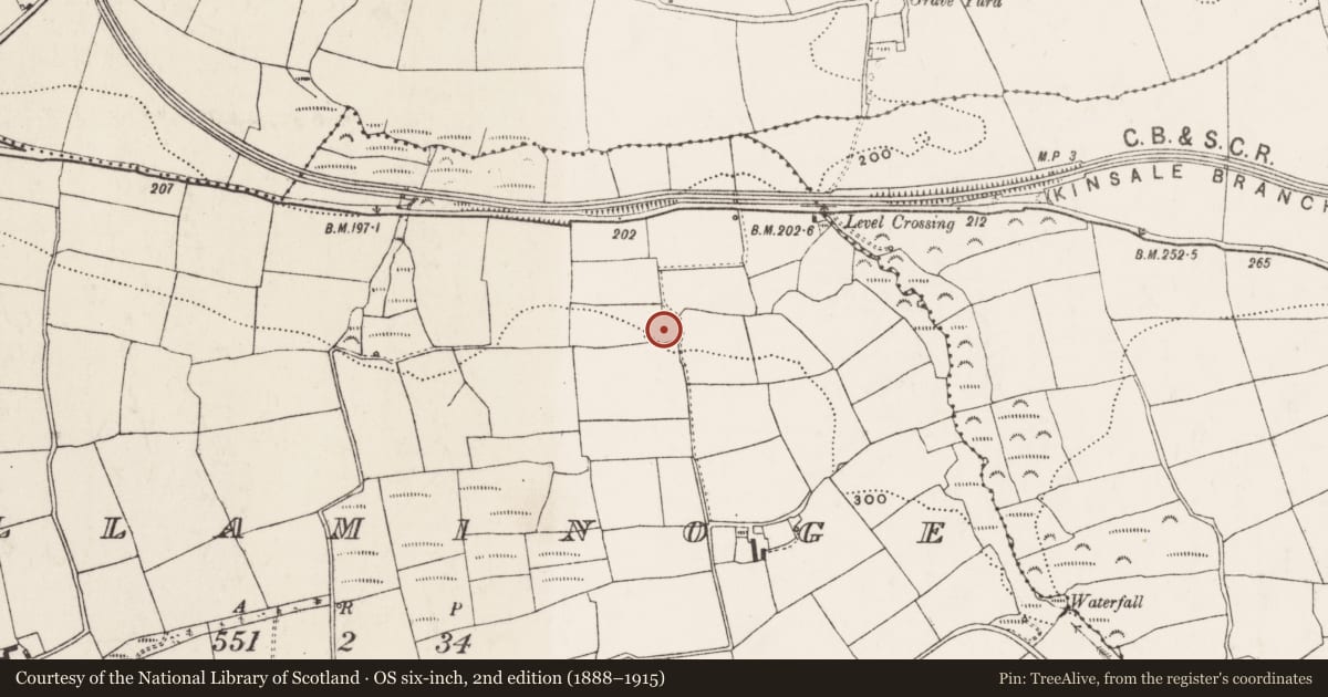 Ordnance Survey six-inch map, 2nd edition (1888–1915) covering the location of Ringfort - rath, Killaminoge, County Cork, with a pin at the register's coordinates