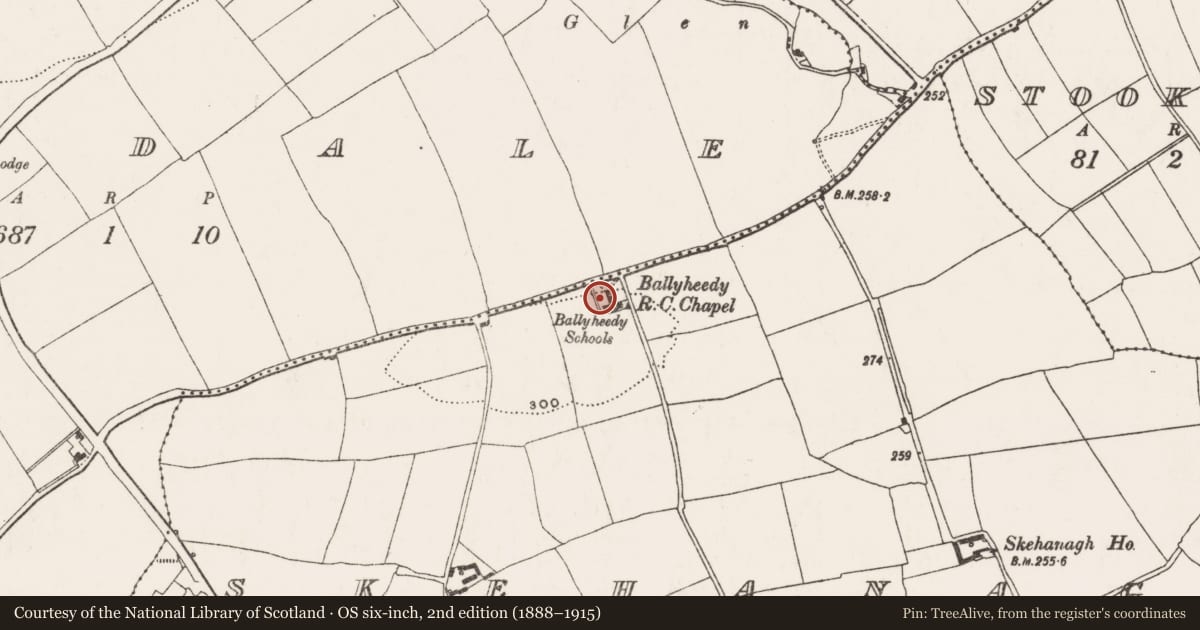 Ordnance Survey six-inch map, 2nd edition (1888–1915) covering the location of Graveyard, Skehanagh, County Cork, with a pin at the register's coordinates