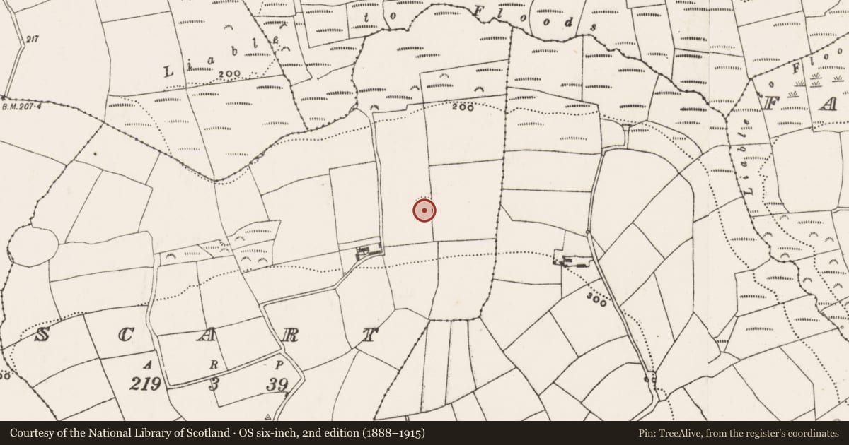Ordnance Survey six-inch map, 2nd edition (1888–1915) covering the location of Ringfort - rath, Scart, County Cork, with a pin at the register's coordinates