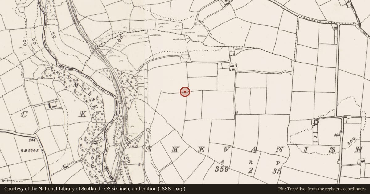 Ordnance Survey six-inch map, 2nd edition (1888–1915) covering the location of Standing stone, Skevanish, County Cork, with a pin at the register's coordinates