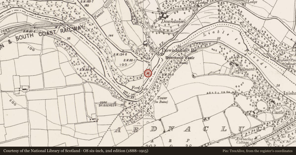 Ordnance Survey six-inch map, 2nd edition (1888–1915) covering the location of Metalworking site, Kilpatrick, County Cork, with a pin at the register's coordinates