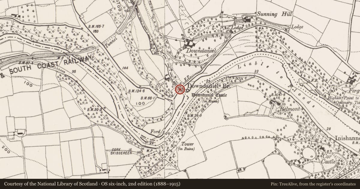 Ordnance Survey six-inch map, 2nd edition (1888–1915) covering the location of Bridge, Skevanish, County Cork, with a pin at the register's coordinates