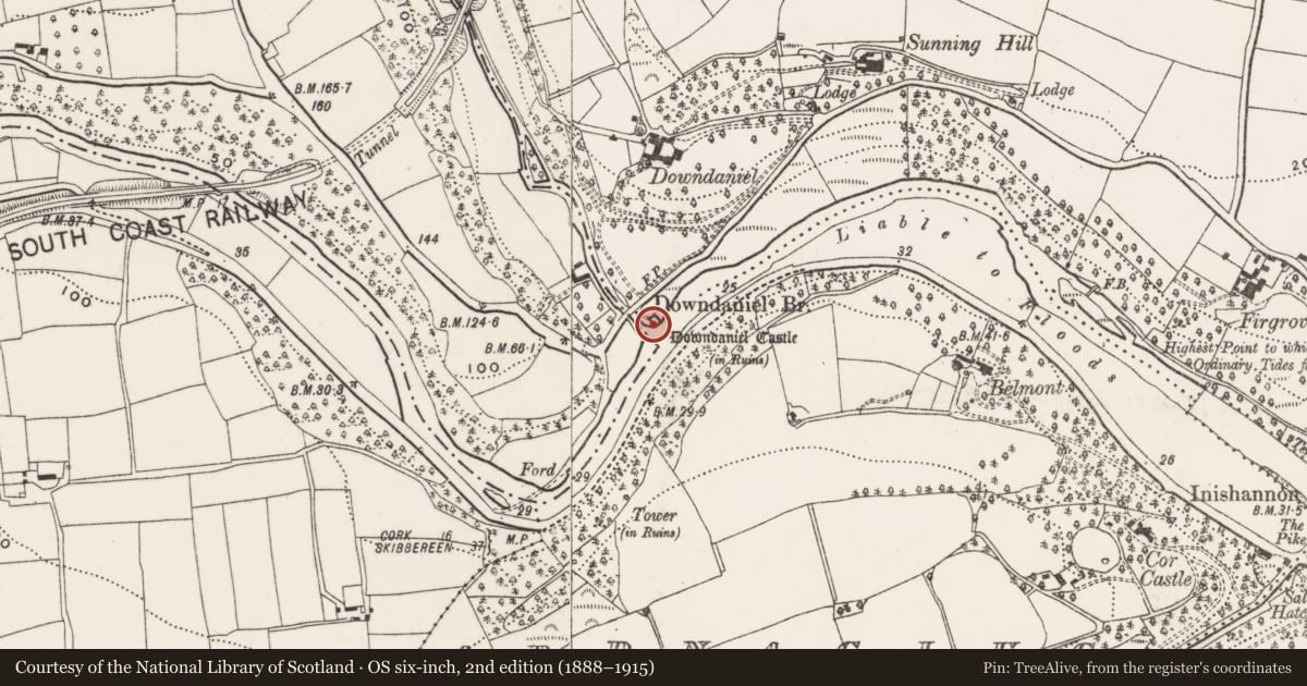 Ordnance Survey six-inch map, 2nd edition (1888–1915) covering the location of Castle - tower house, Ardnaclug, County Cork, with a pin at the register's coordinates