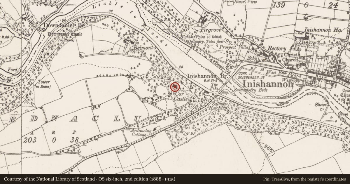 Ordnance Survey six-inch map, 2nd edition (1888–1915) covering the location of Country house, Ardnaclug, County Cork, with a pin at the register's coordinates